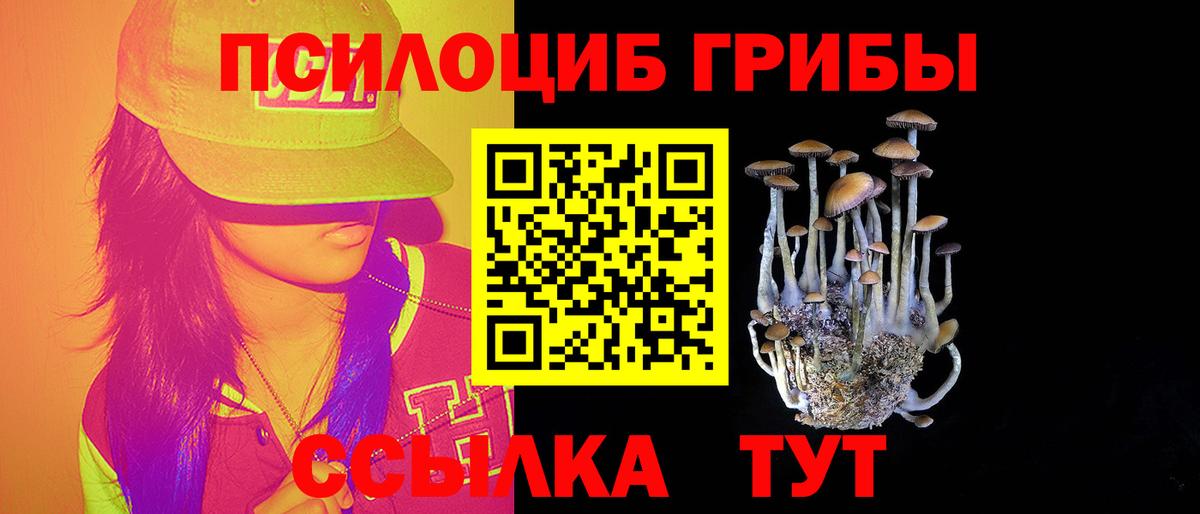 Галлюциногенные грибы Psilocybine cubensis  Галлюциногенные грибы мухоморы  Вход с VPN  Отрадное 
