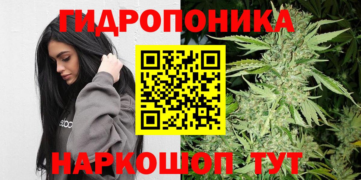 Шишки марихуана Bruce Banner Отрадное